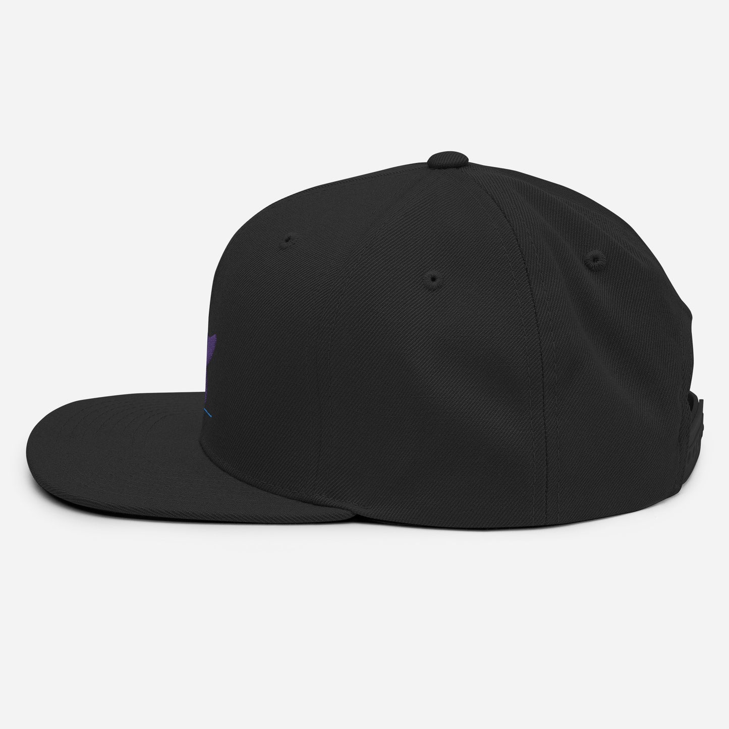 Pleyades purp logo Snapback Hat