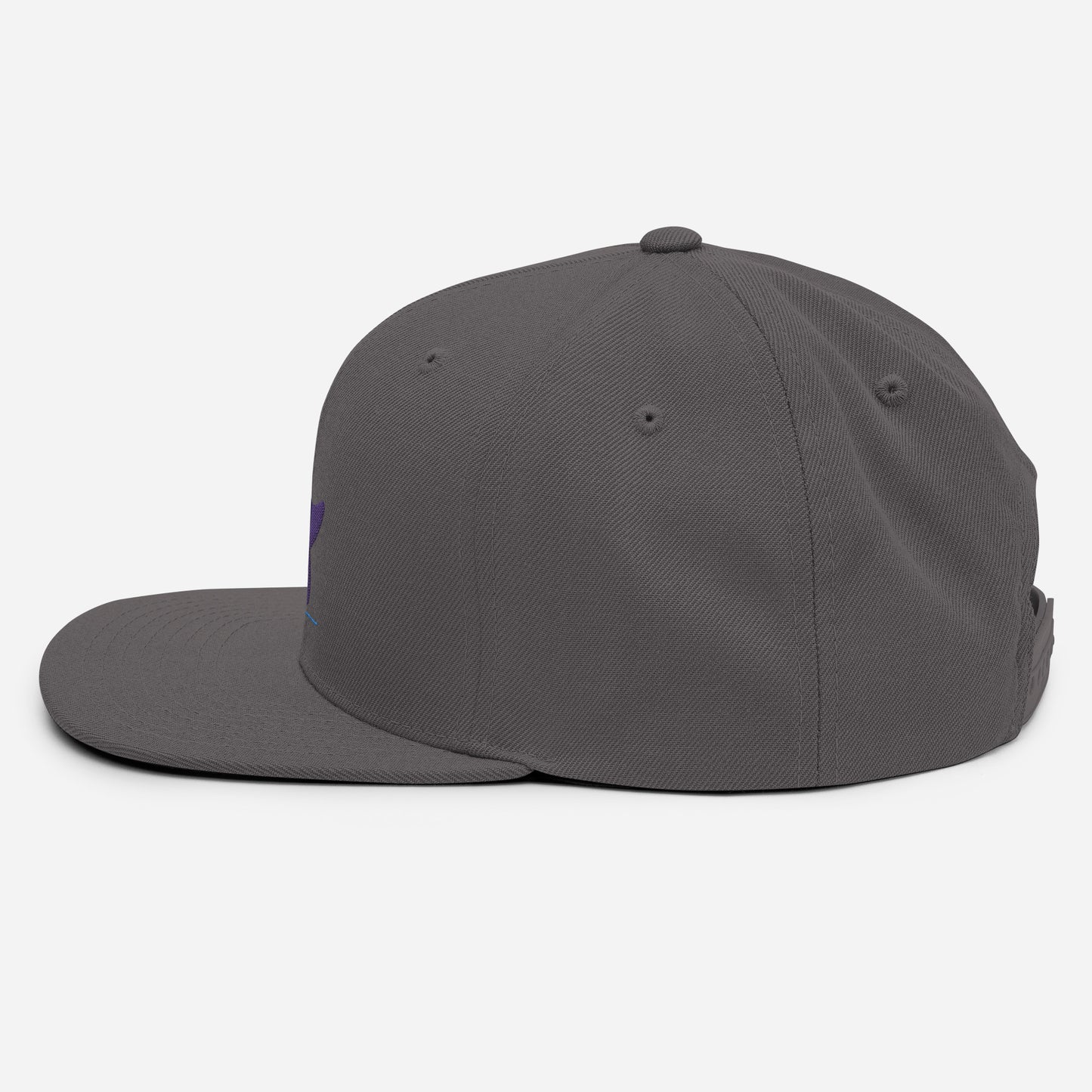 Pleyades purp logo Snapback Hat