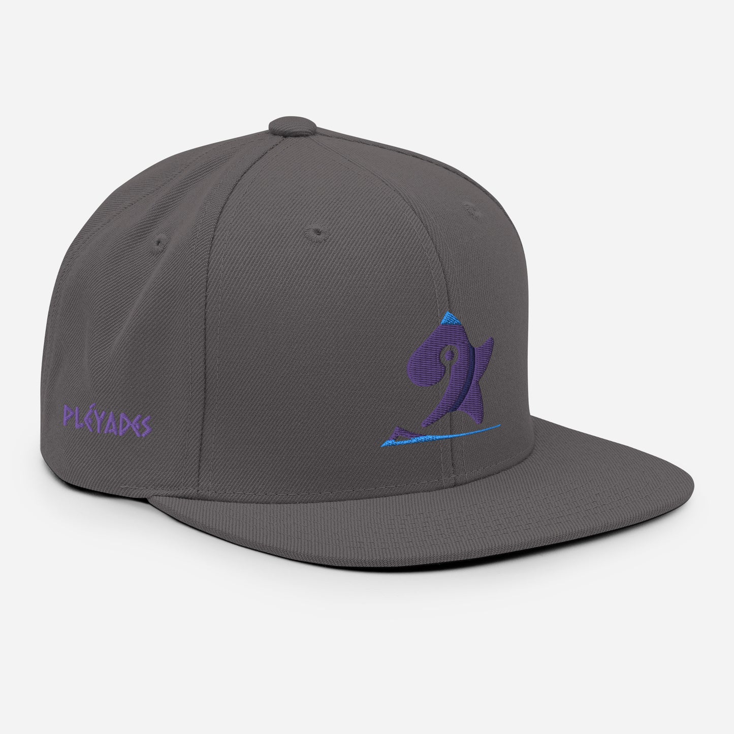 Pleyades purp logo Snapback Hat