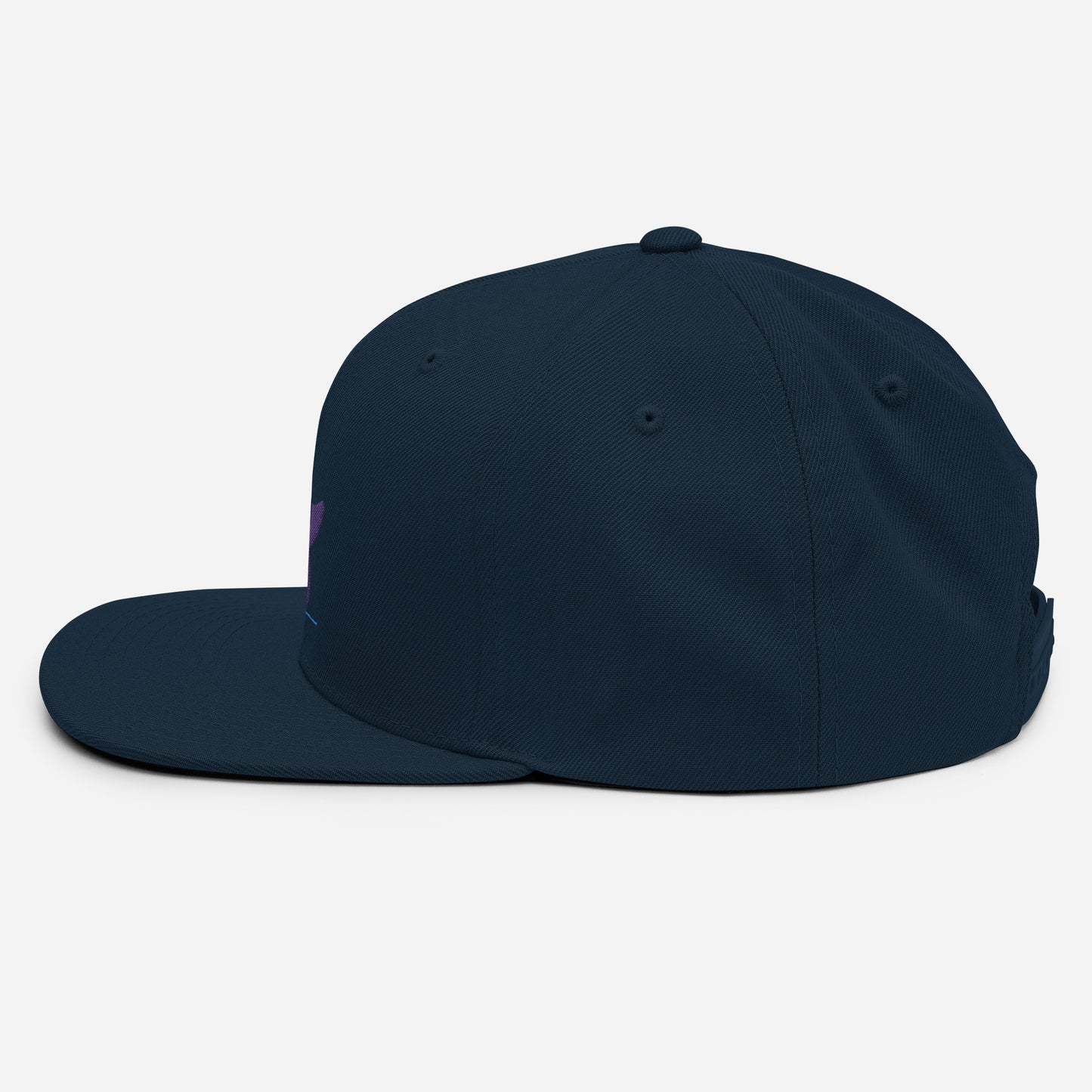 Pleyades purp logo Snapback Hat