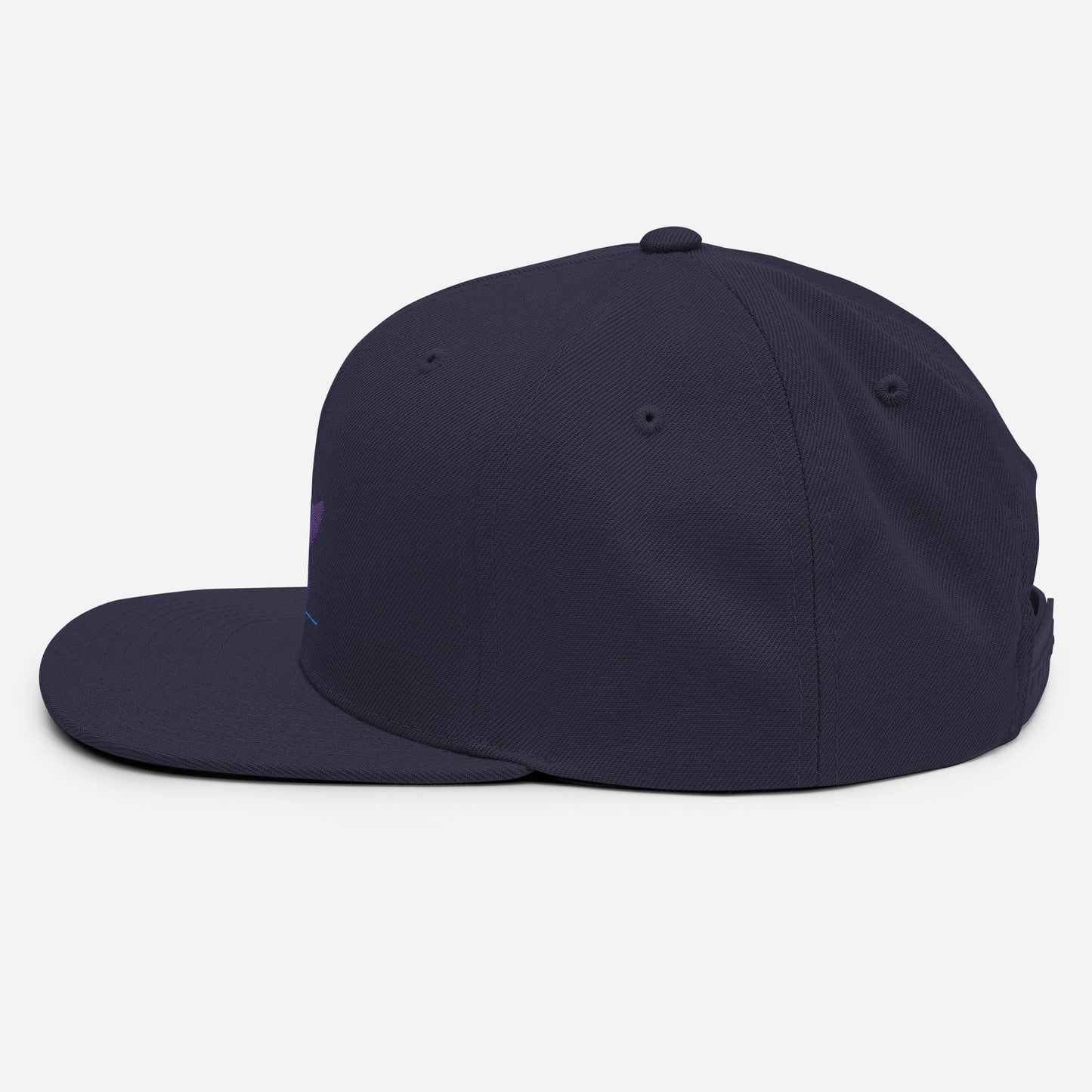 Pleyades purp logo Snapback Hat