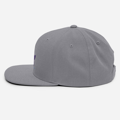 Pleyades purp logo Snapback Hat
