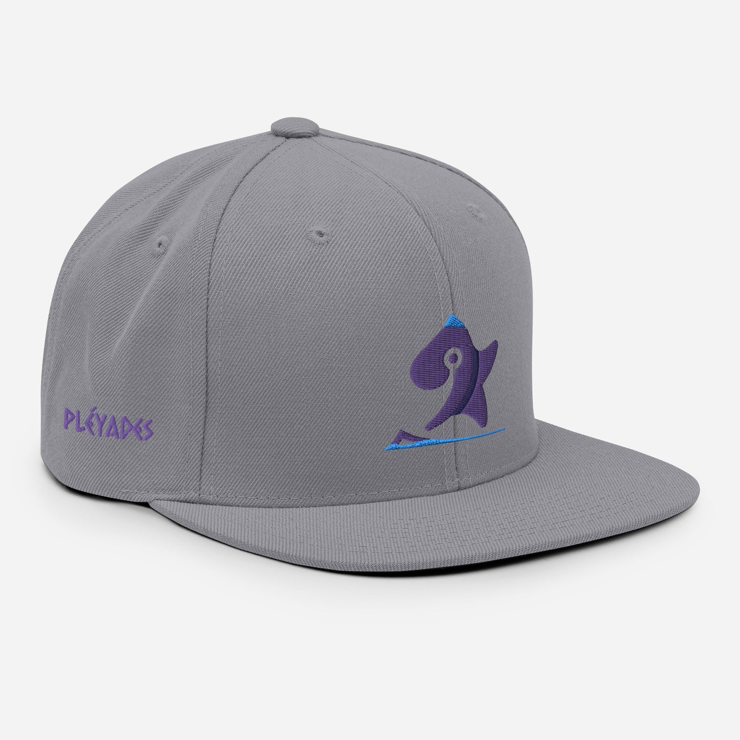 Pleyades purp logo Snapback Hat